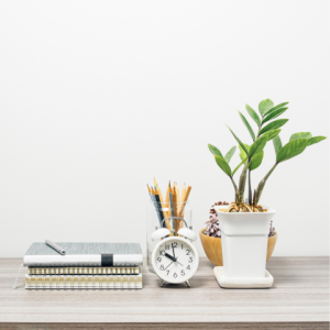 Plant, notebook, pencils, and clock on a shelf, illustrating that Exposure Therapy Designs offers expert and compassionate help for those struggling with OCD and PTSD.